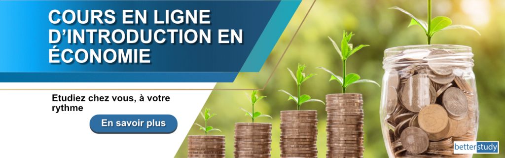cours en ligne d'introduction en economie