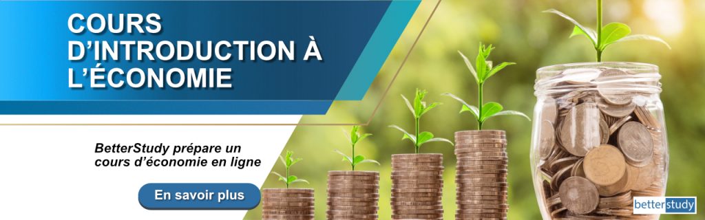 cours en ligne d'introduction en economie