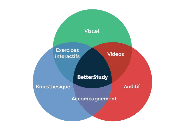 Méthode d'apprentissage de BetterStudy