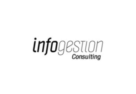 infogestion consulting